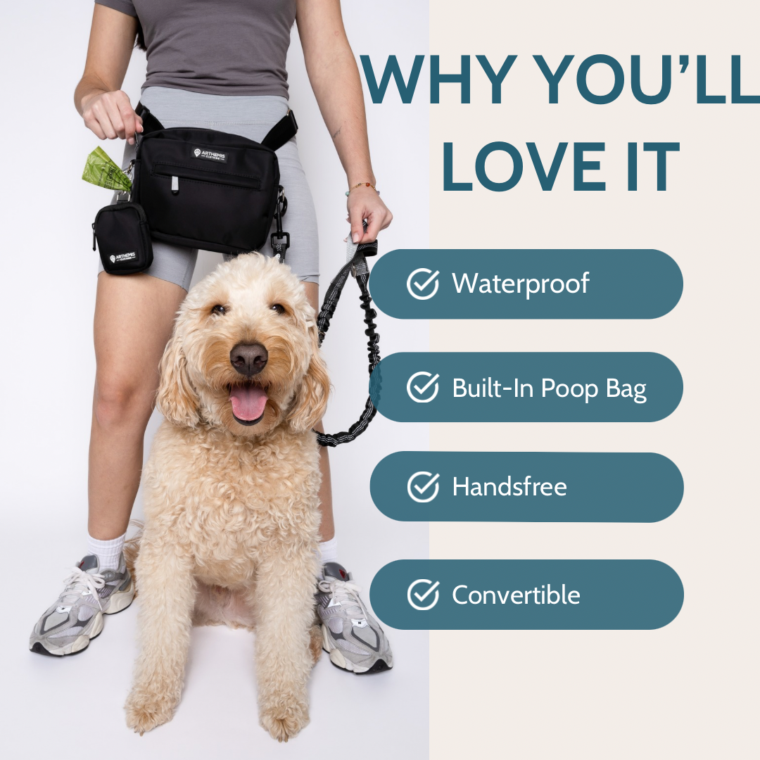 3-In-One Dog Pack