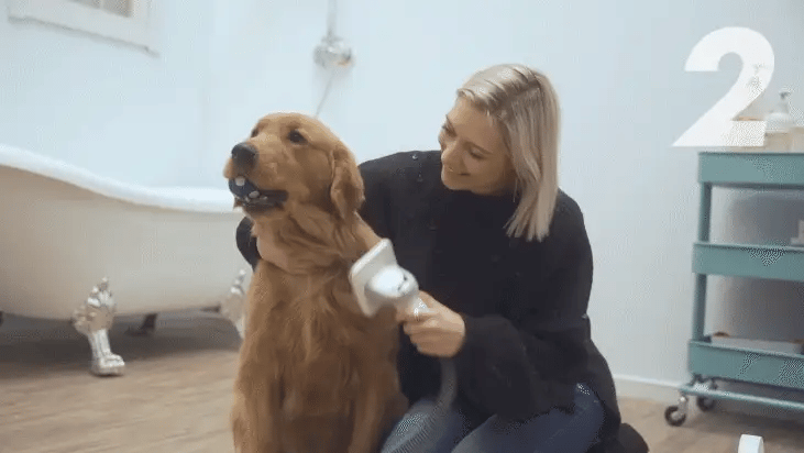 Pet Grooming Vacuum