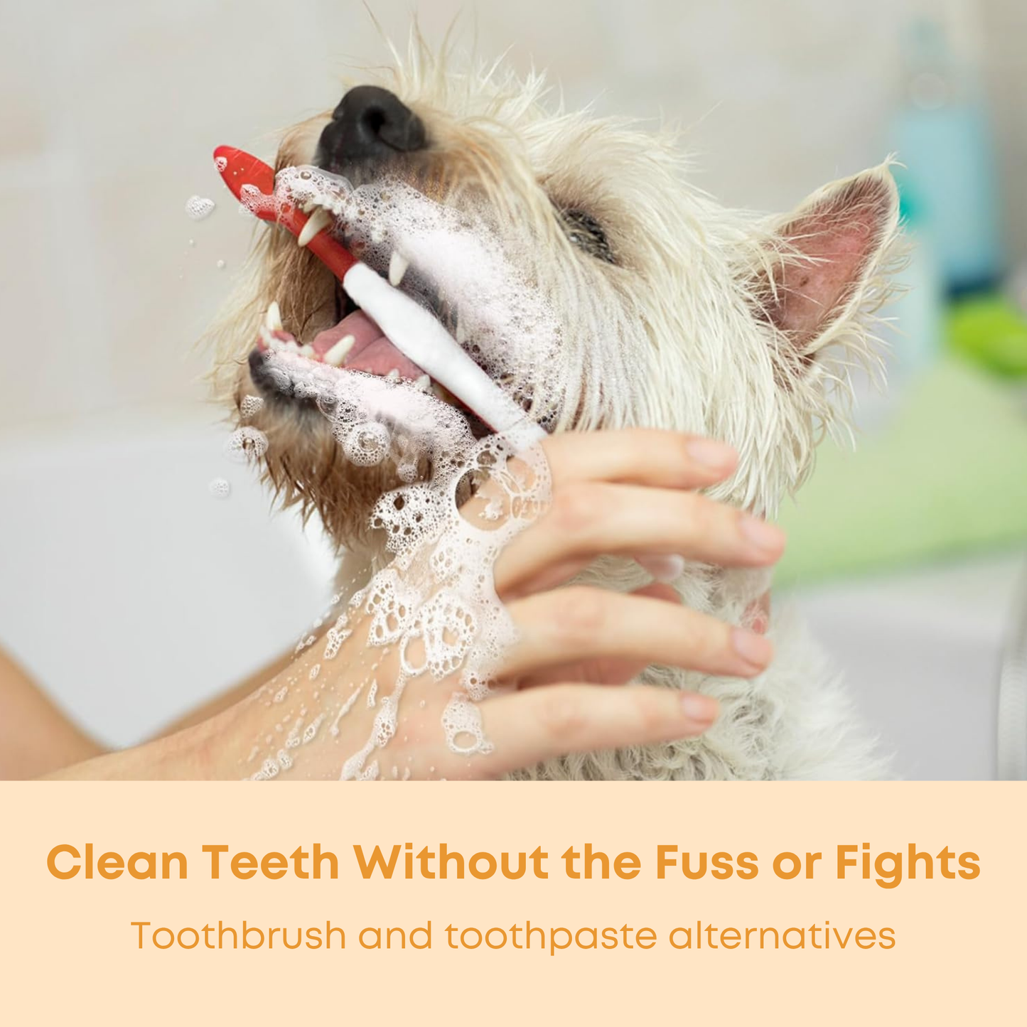 Snapaus Pet Dental Wipes