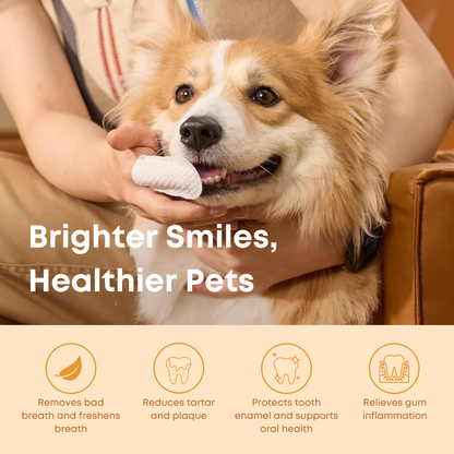 Snapaus Pet Dental Wipes