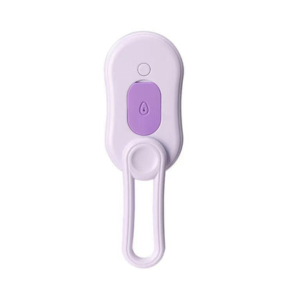 Pet Steam Brush Pro