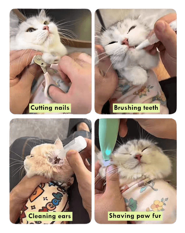 Cat Comfy Wrap