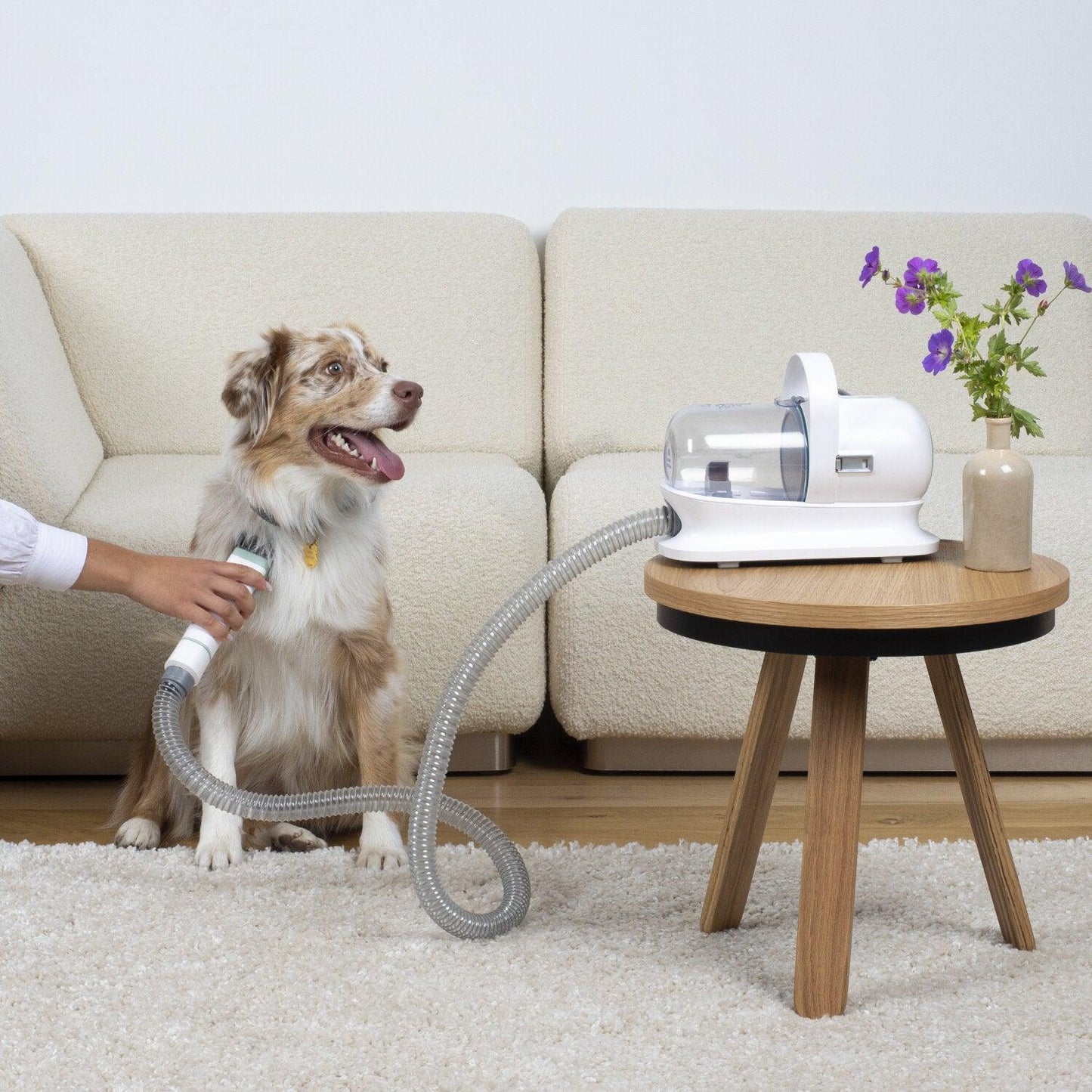 Pet Grooming Vacuum