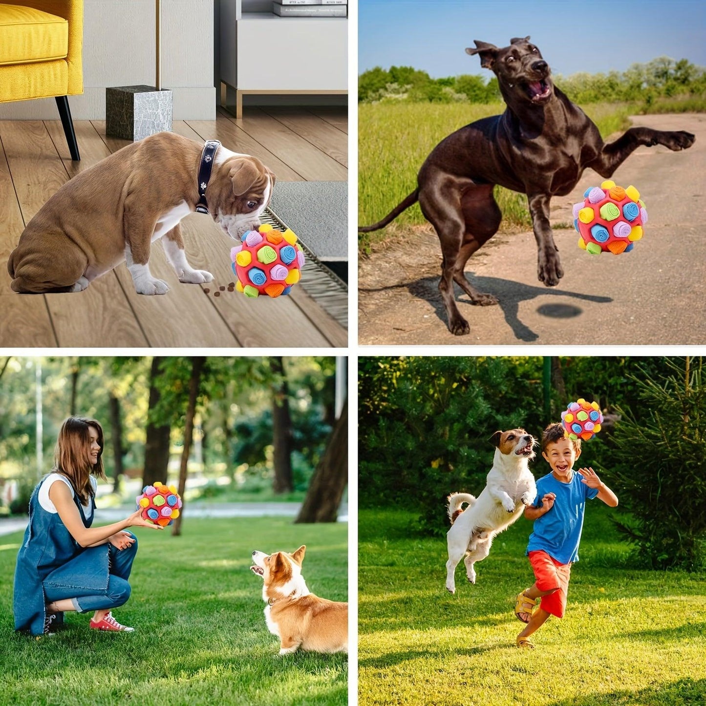 Dog Sniffing Ball Toy