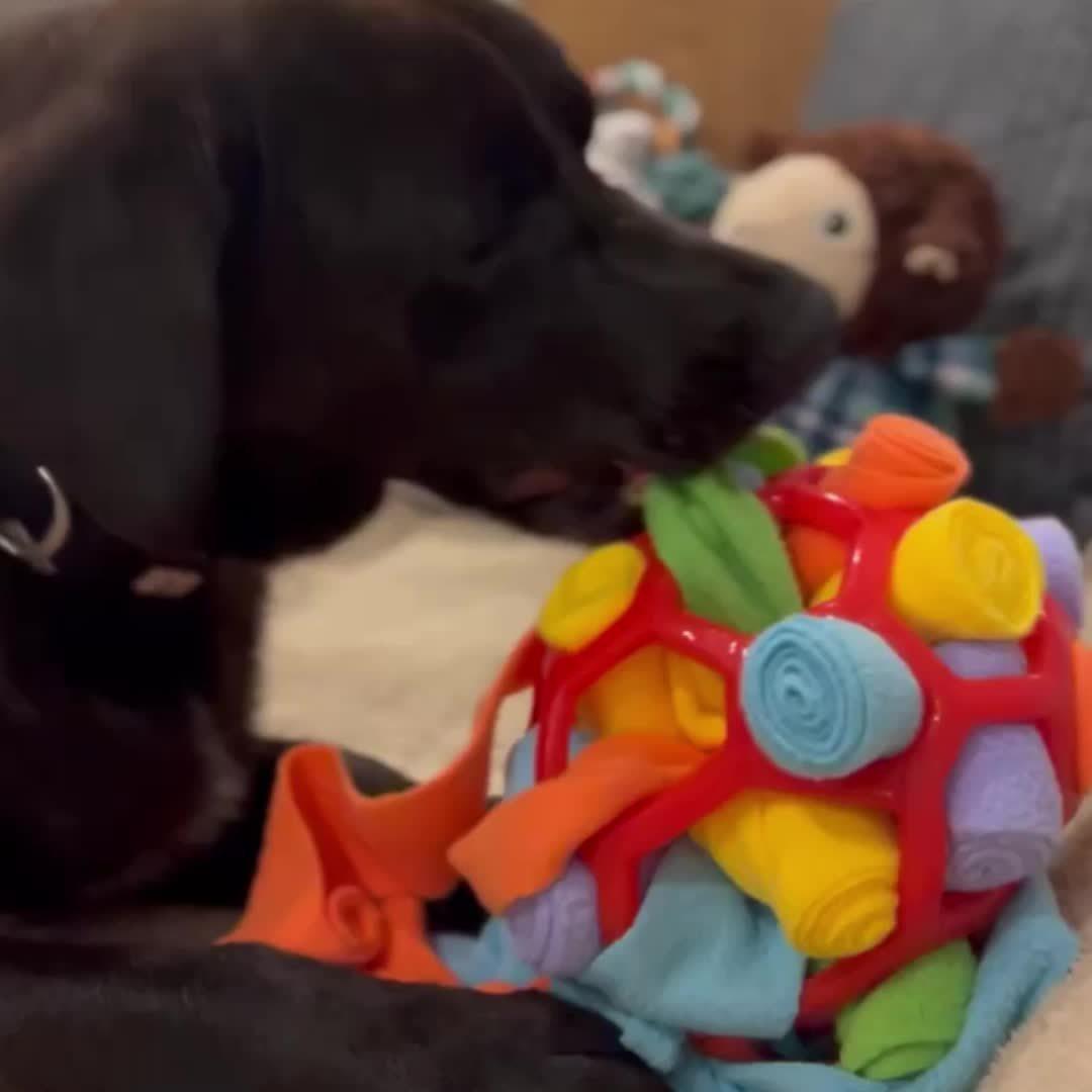 Dog Sniffing Ball Toy